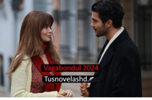 Ver Vagabondul 2024 Episodul 3 Romana Subtitrat Completo HD Online